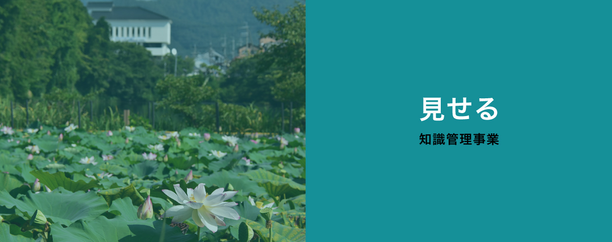 見せる〈知識管理事業〉